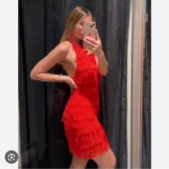 Zara FRINGED TULLE HALTER DRESS Size Small - Picture 3 of 13